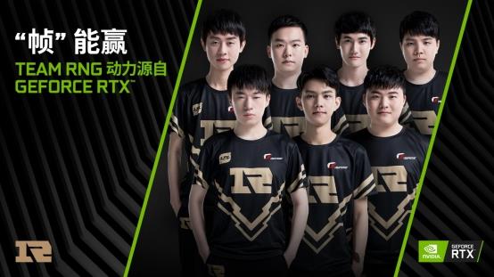 毛球的观众 毛球的观众